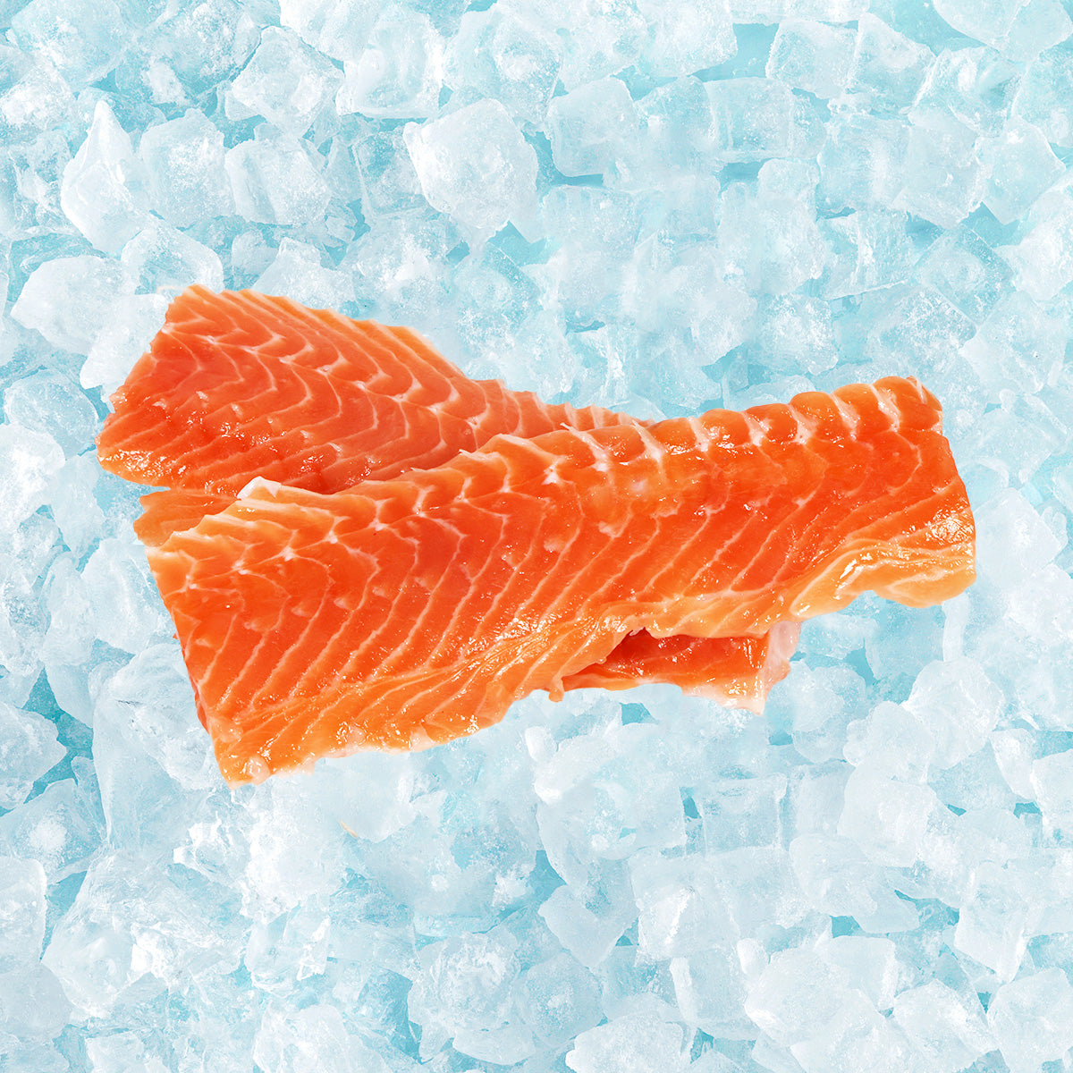 Norway Salmon Fish Bone (100g)