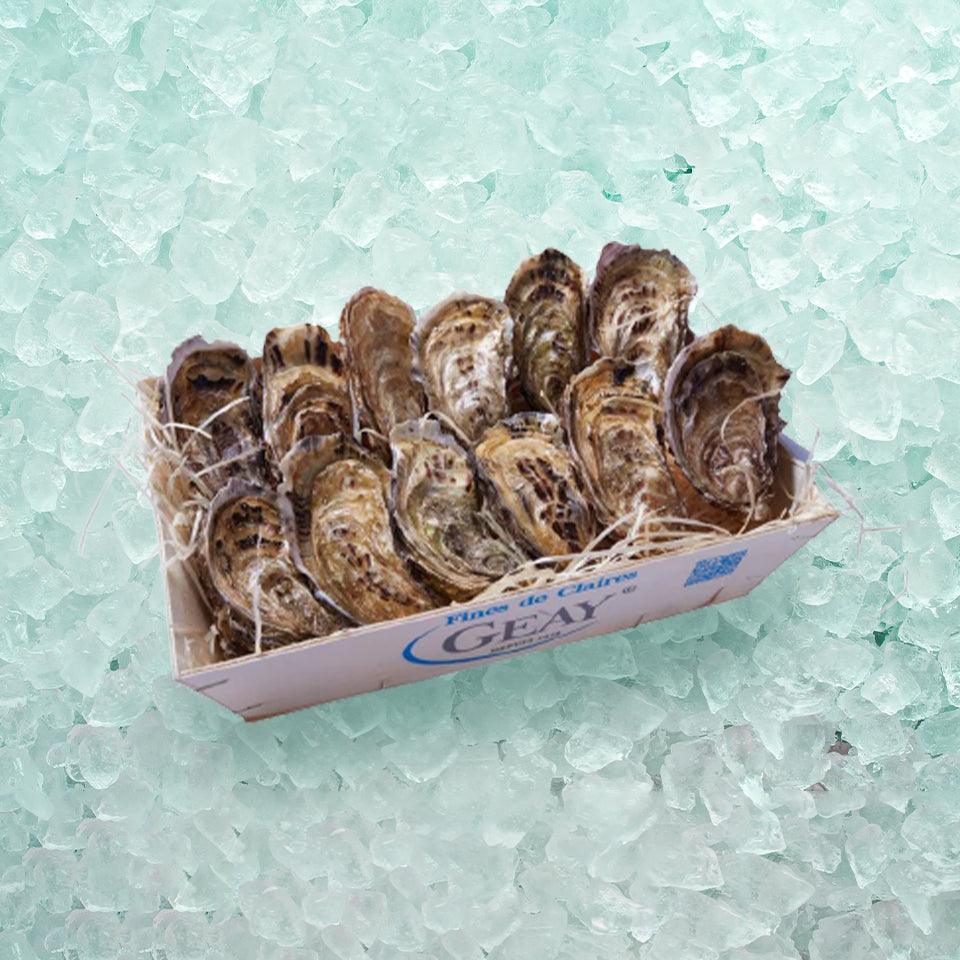 GEAY French Geay Fines de Claires Oyster Nr.2 (12pcs)
