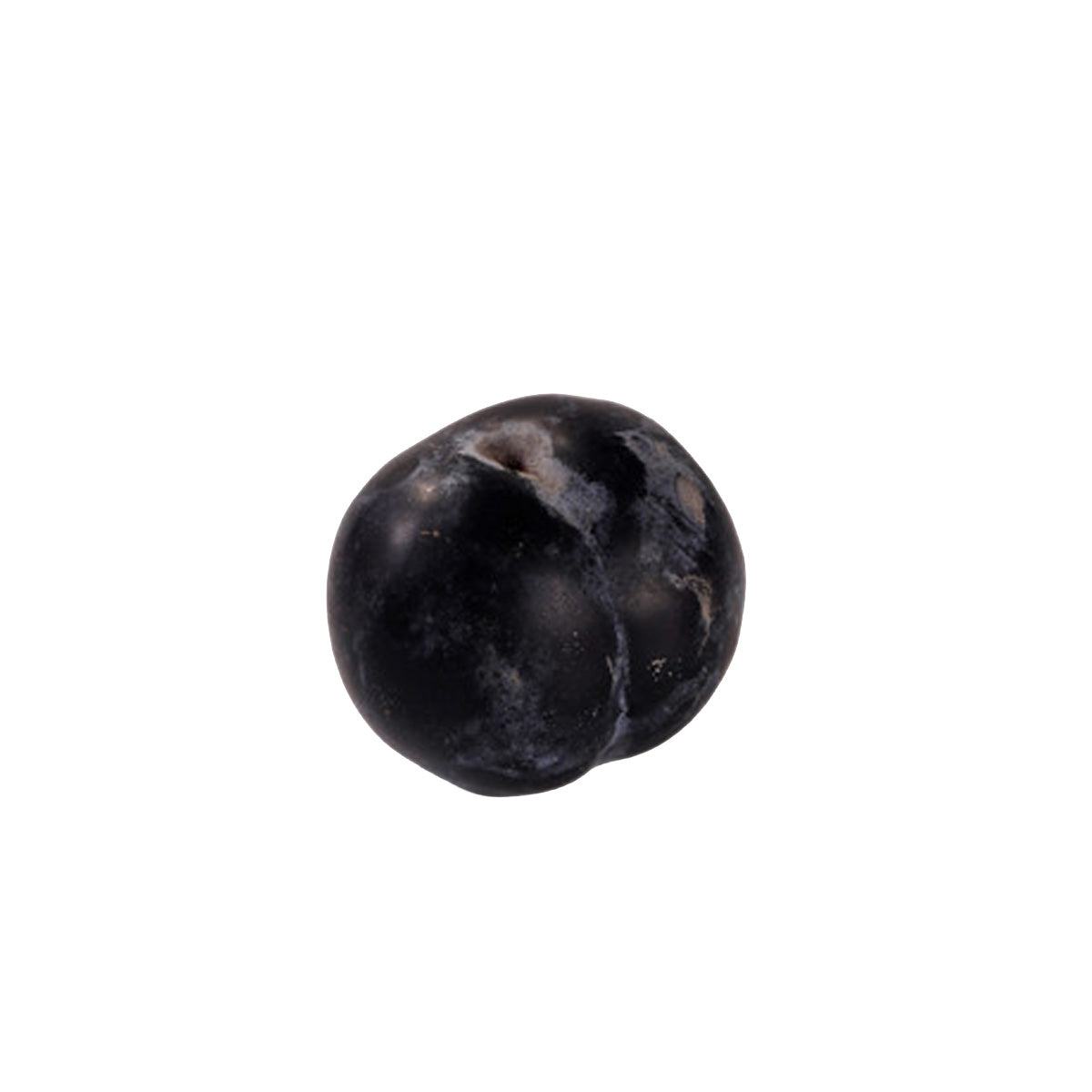 美國黑金剛杏李 (1pc)