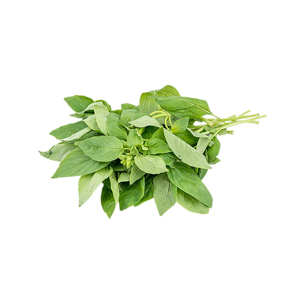 FARMACY 本地新鮮意大利羅勒 (1pack)