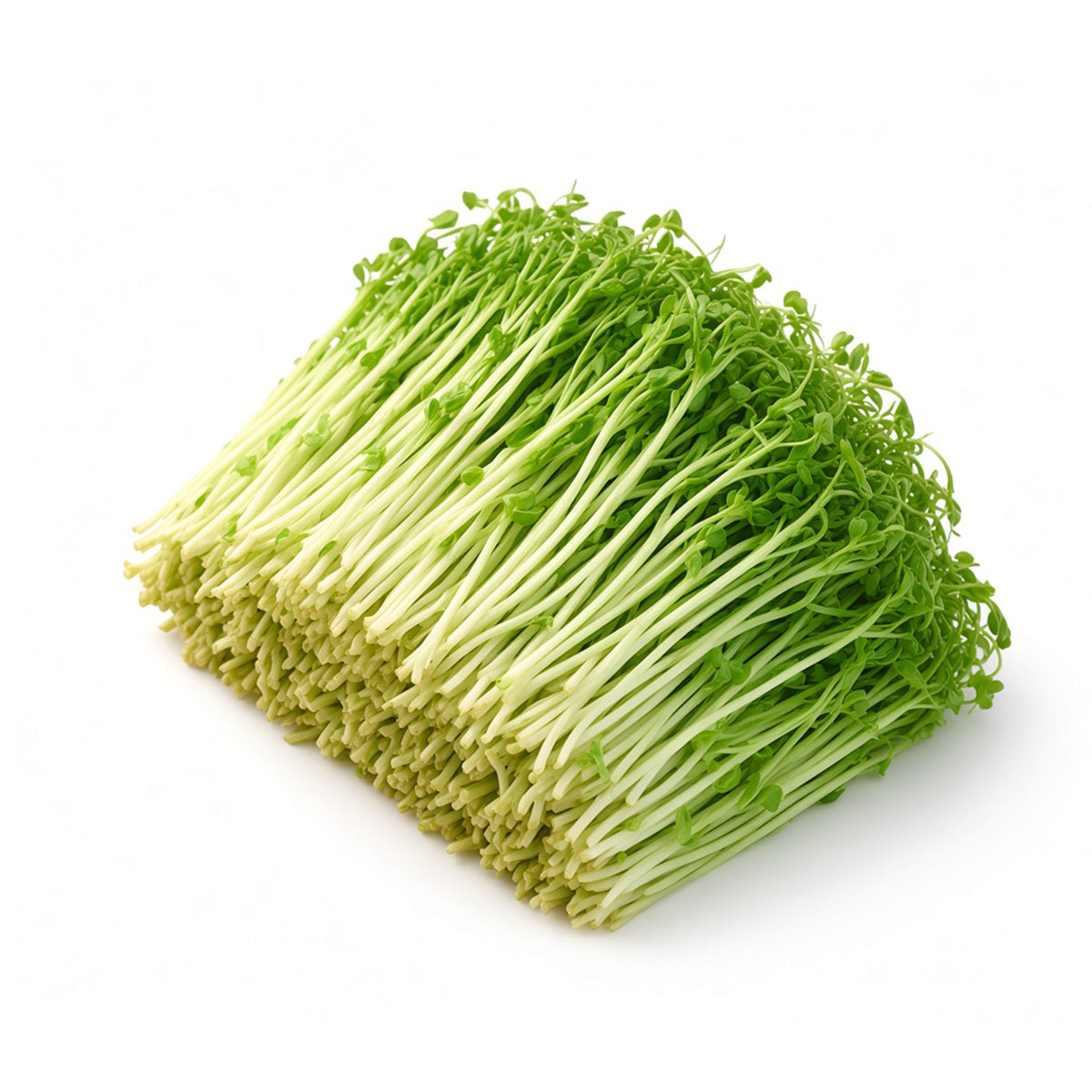 Local Organic Jade Sprouts (600g)