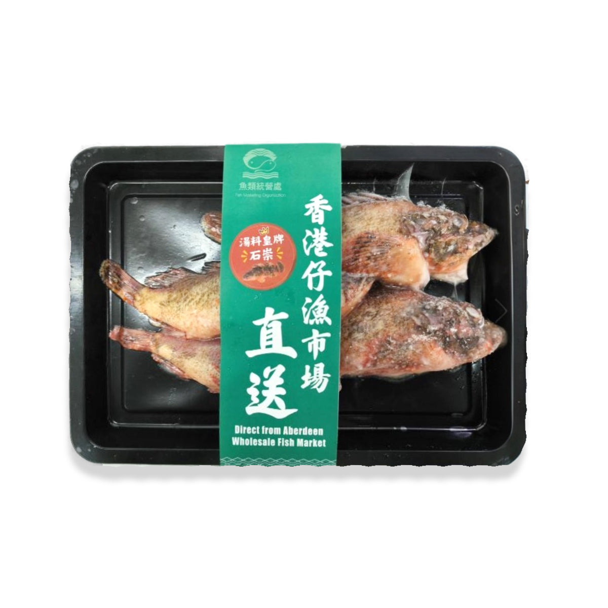 FMO 野生速凍石崇魚 (600g)