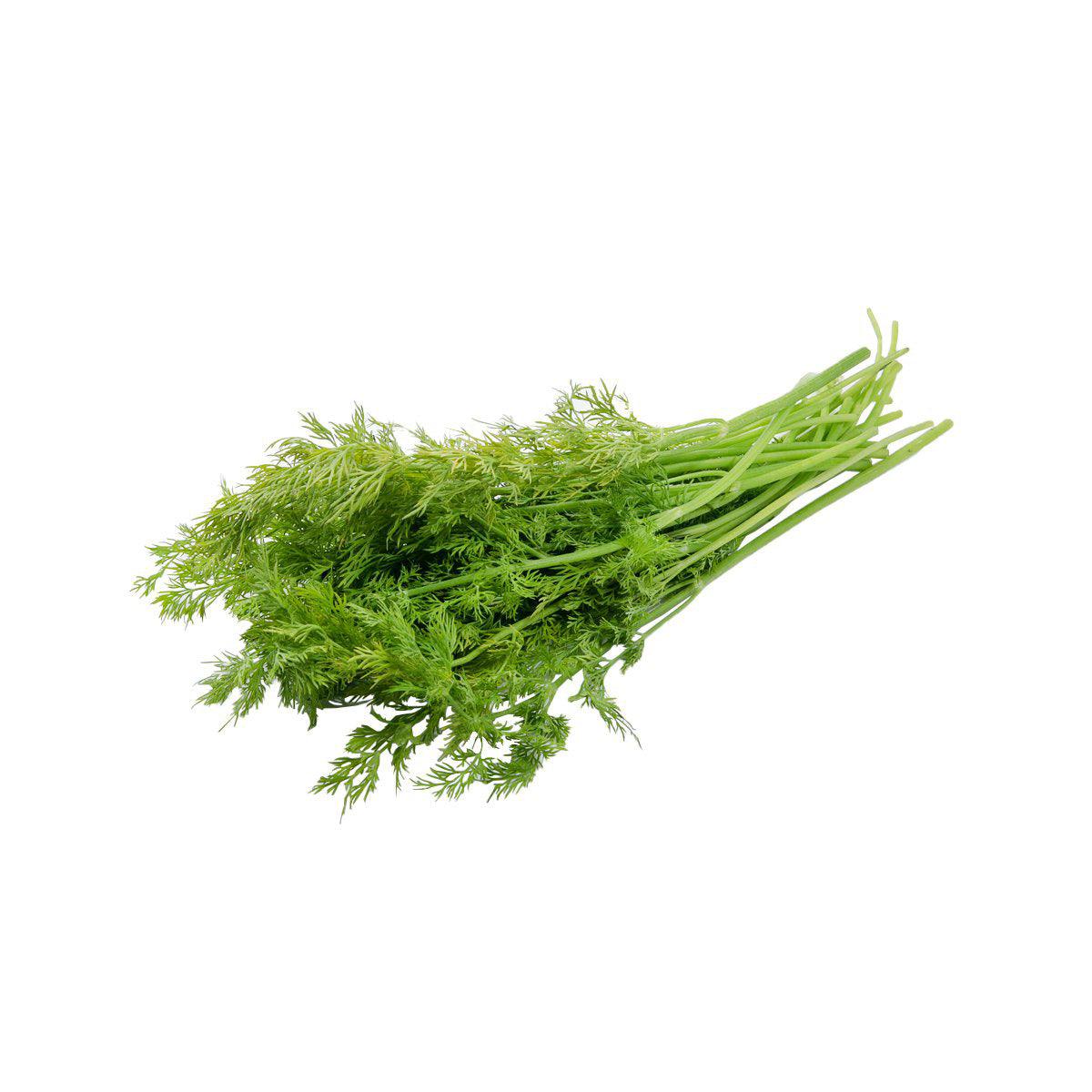 肯尼亞蒔蘿(包裝) (1pack)