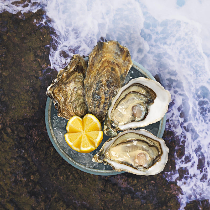 GILLARDEAU French Gillardeau Oyster Nr.0  (1pc)