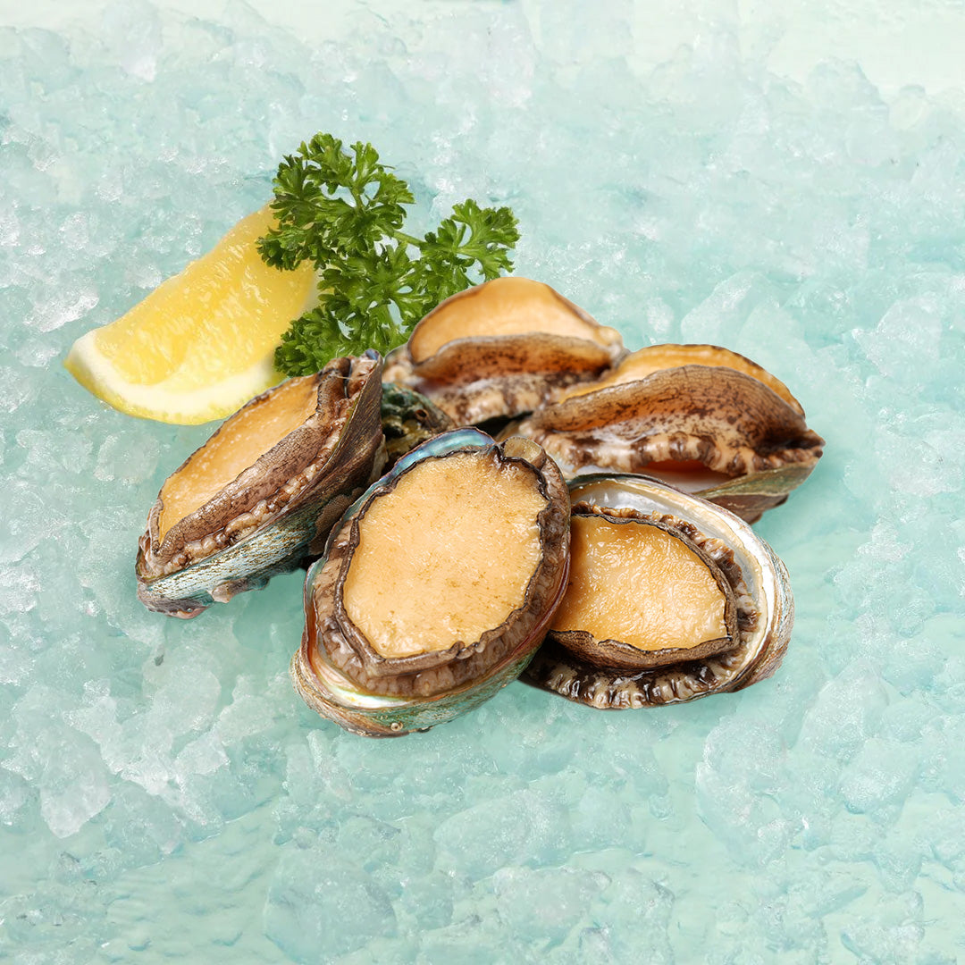 南澳洲急凍青邊鮑魚 - 大 (350g)