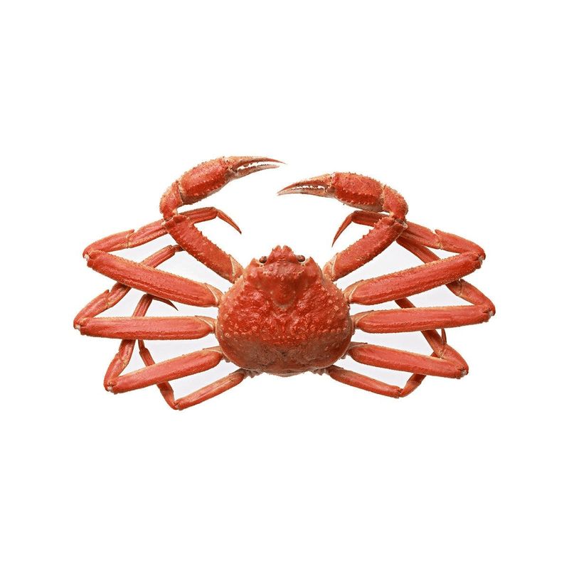 UNITED OCEAN Canadian Frozen Boiled Zuwai Snow Crab  (1pc)