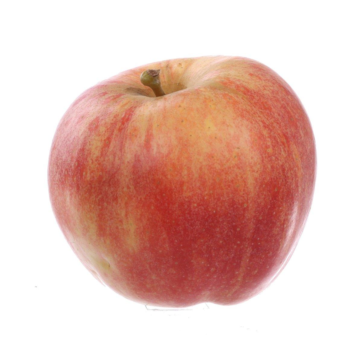 French Gala Apple (1pc)
