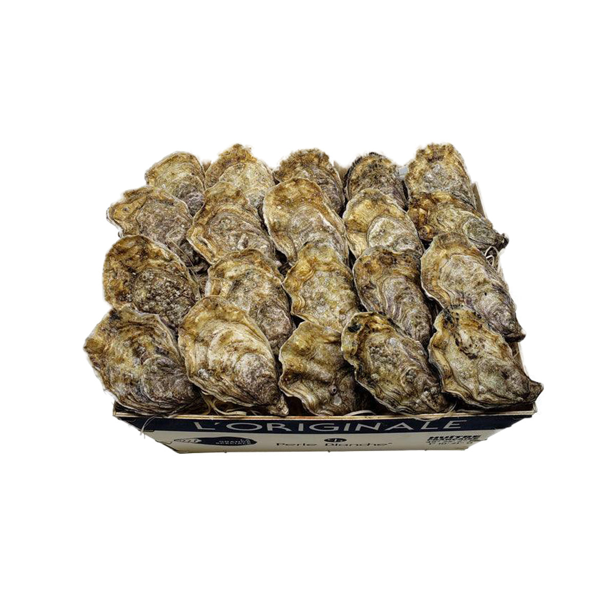 TIA MARAA 法國塔瑪拉特級生蠔 Nr.1 (原箱推廣) (1box)