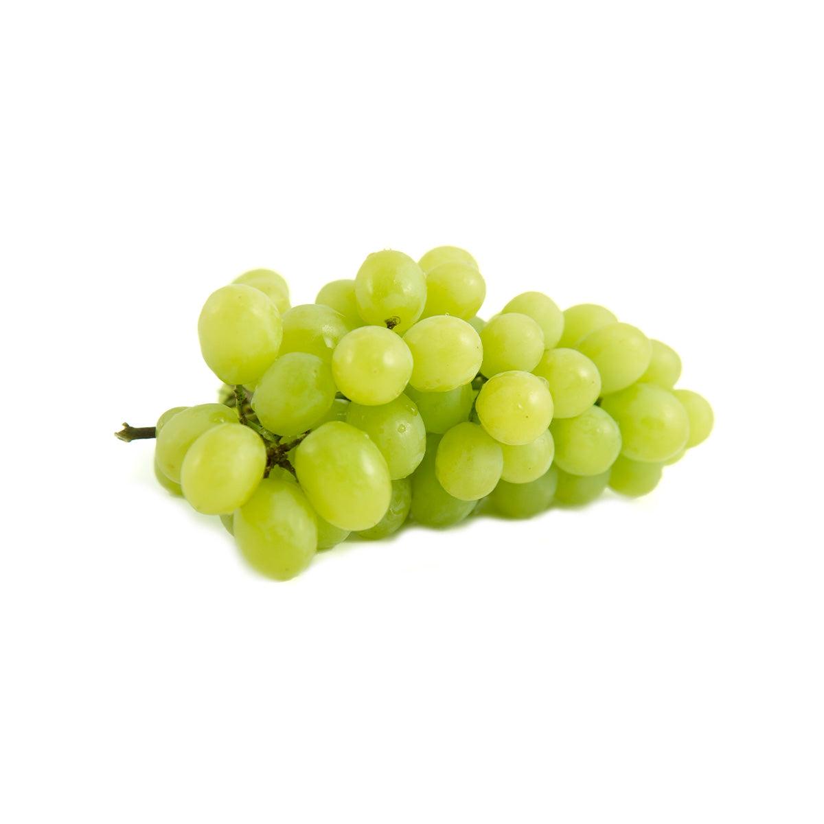 USA Green Seedless Grape - Sweet Globe Pack (1pack)