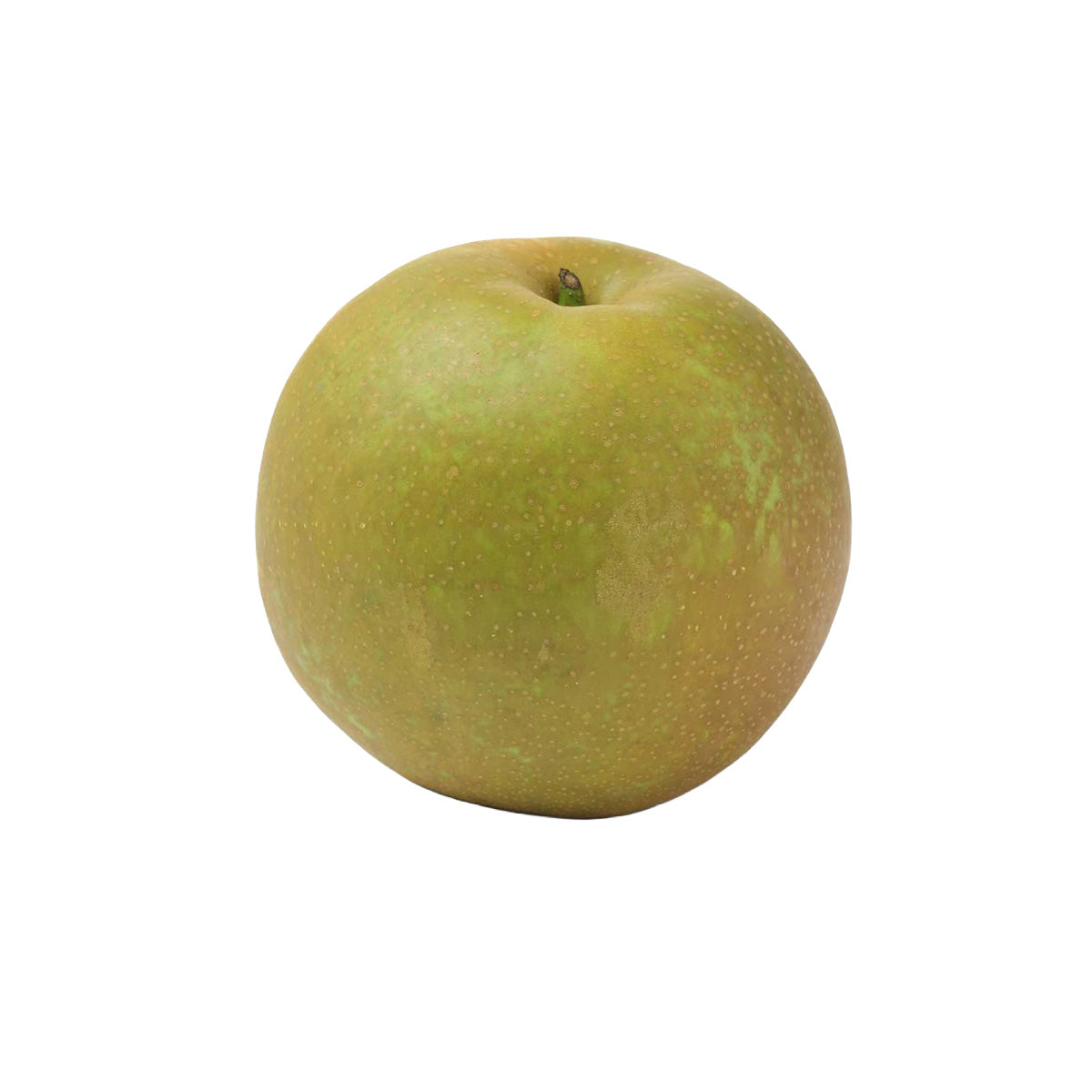 Japan Saga Yamakazu Farm Kanta Pear 10-11’s (1pc)