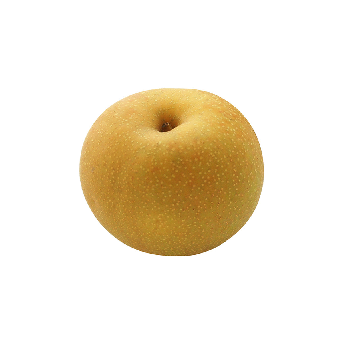 Japan Ishikawa Kaga Shizuku Pear 6-8’s (1pc)