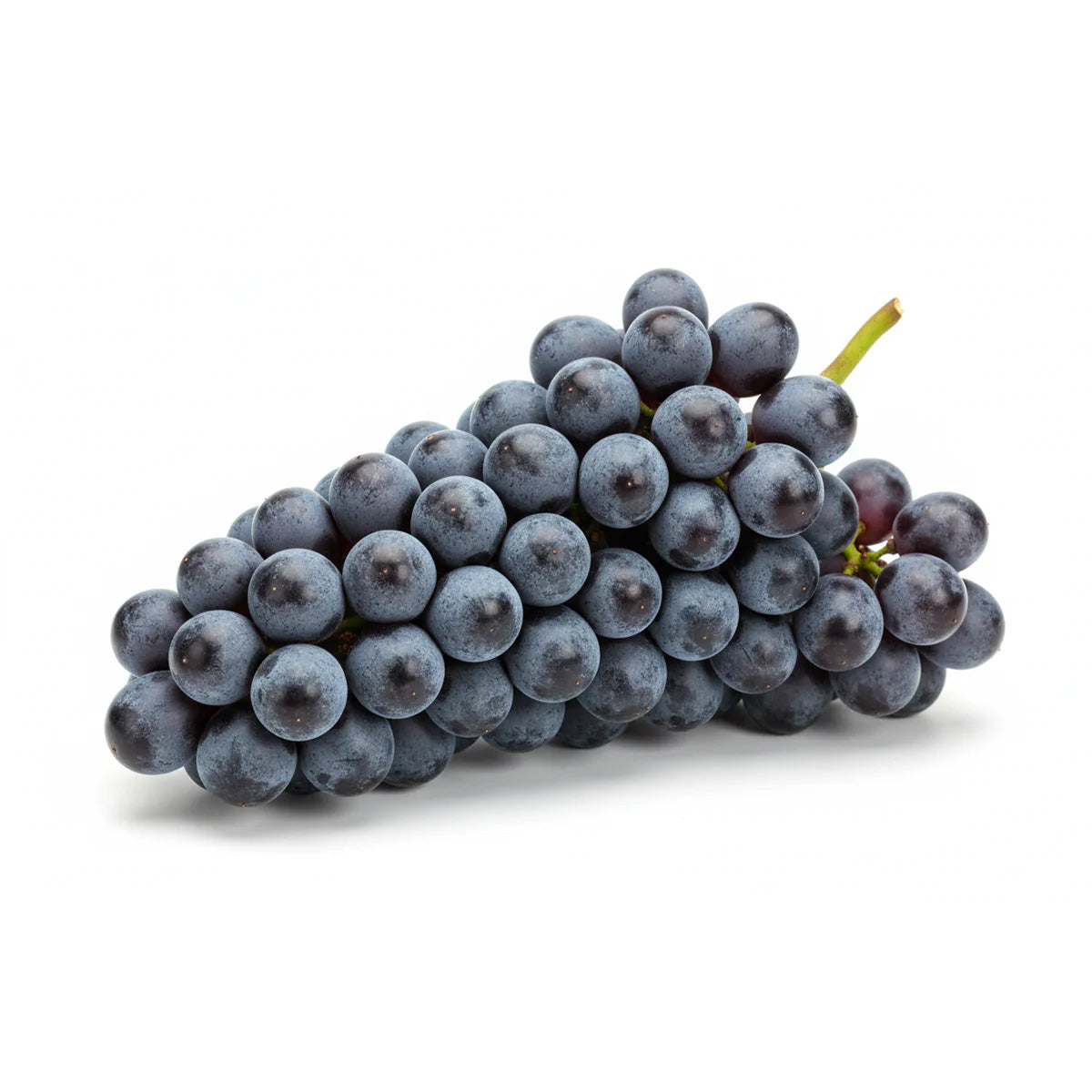 ASIAN FARMER Chinese Blueberry Grapes (1pack)