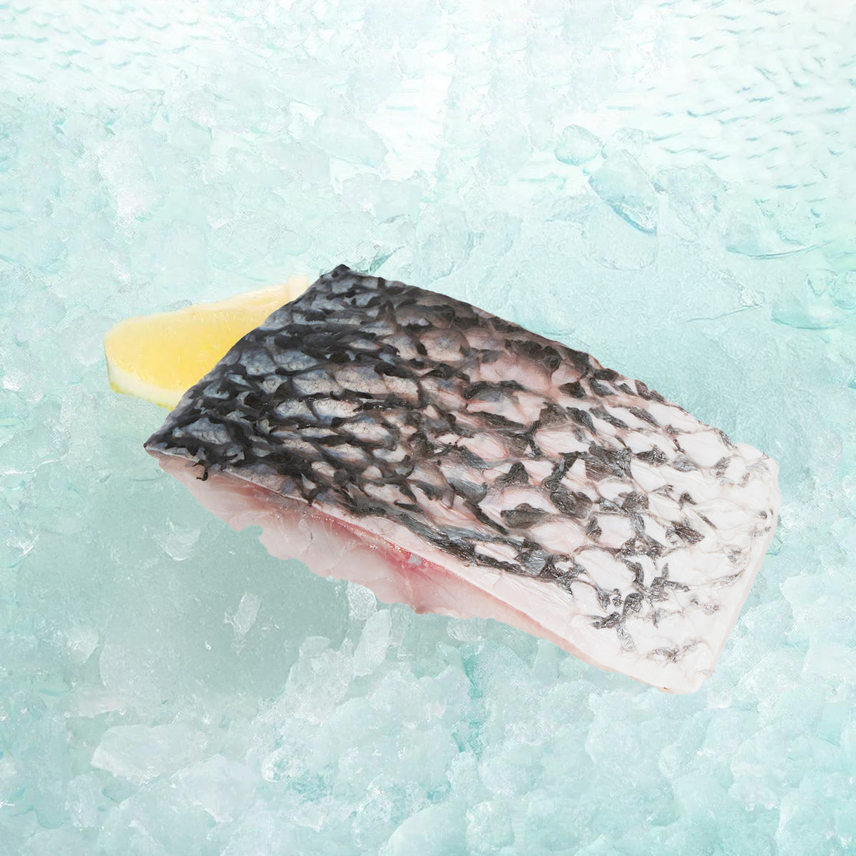 Australian Barramundi Fish Slice (100g)