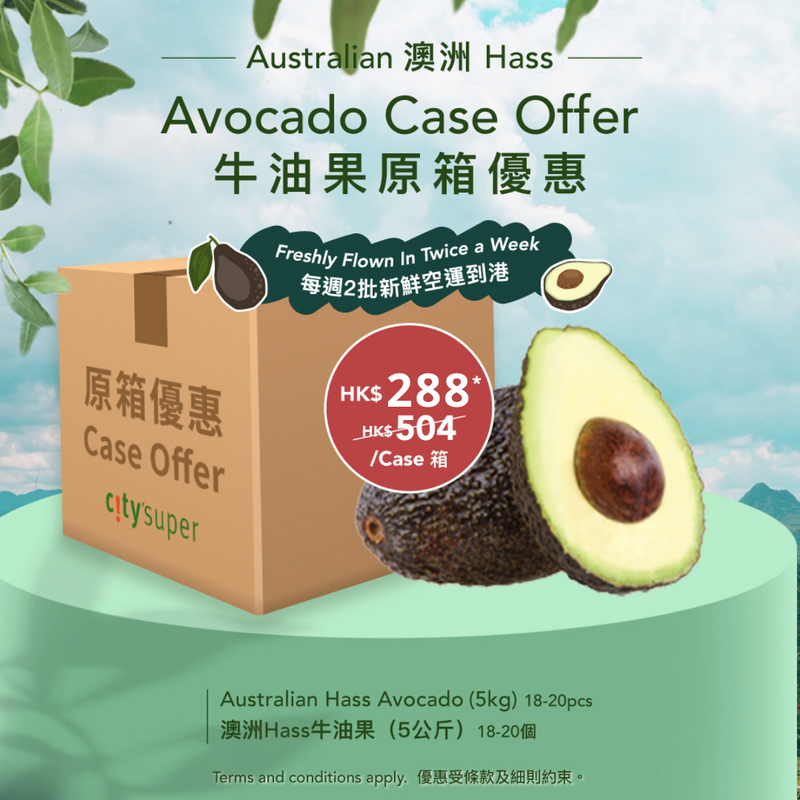 Australian Hass Avocado (Case)