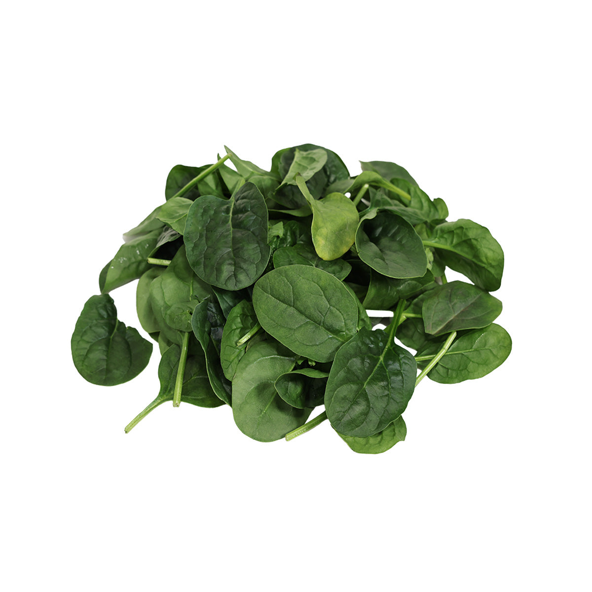 LEAFY PATCH Australia Baby Spinach (100g)