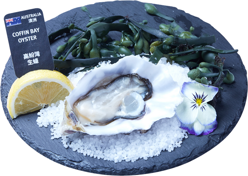 Australian Coffin Bay Oyster  (1pc)