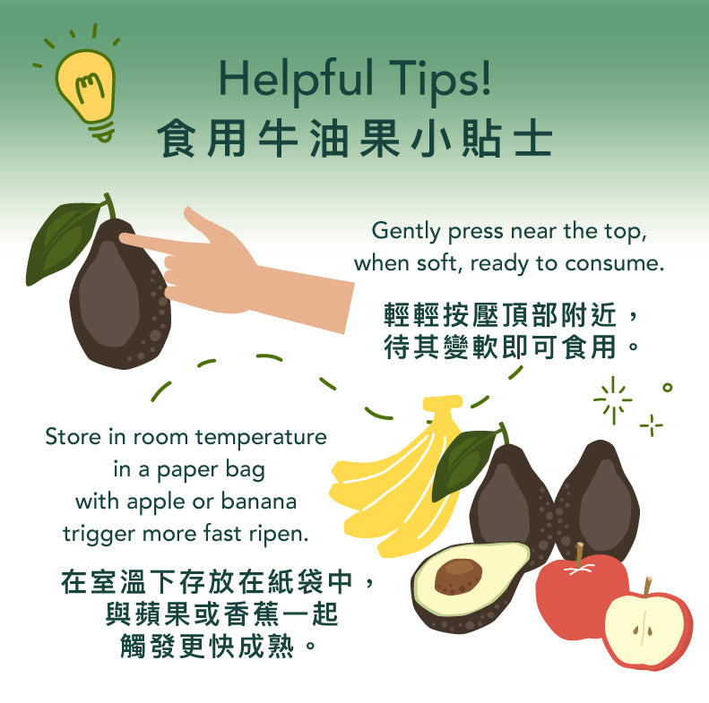 Australian Hass Avocado (Case)