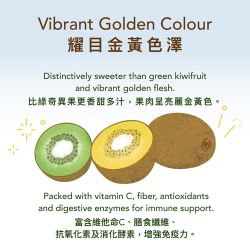 New Zealand Golden Kiwifruit (case)