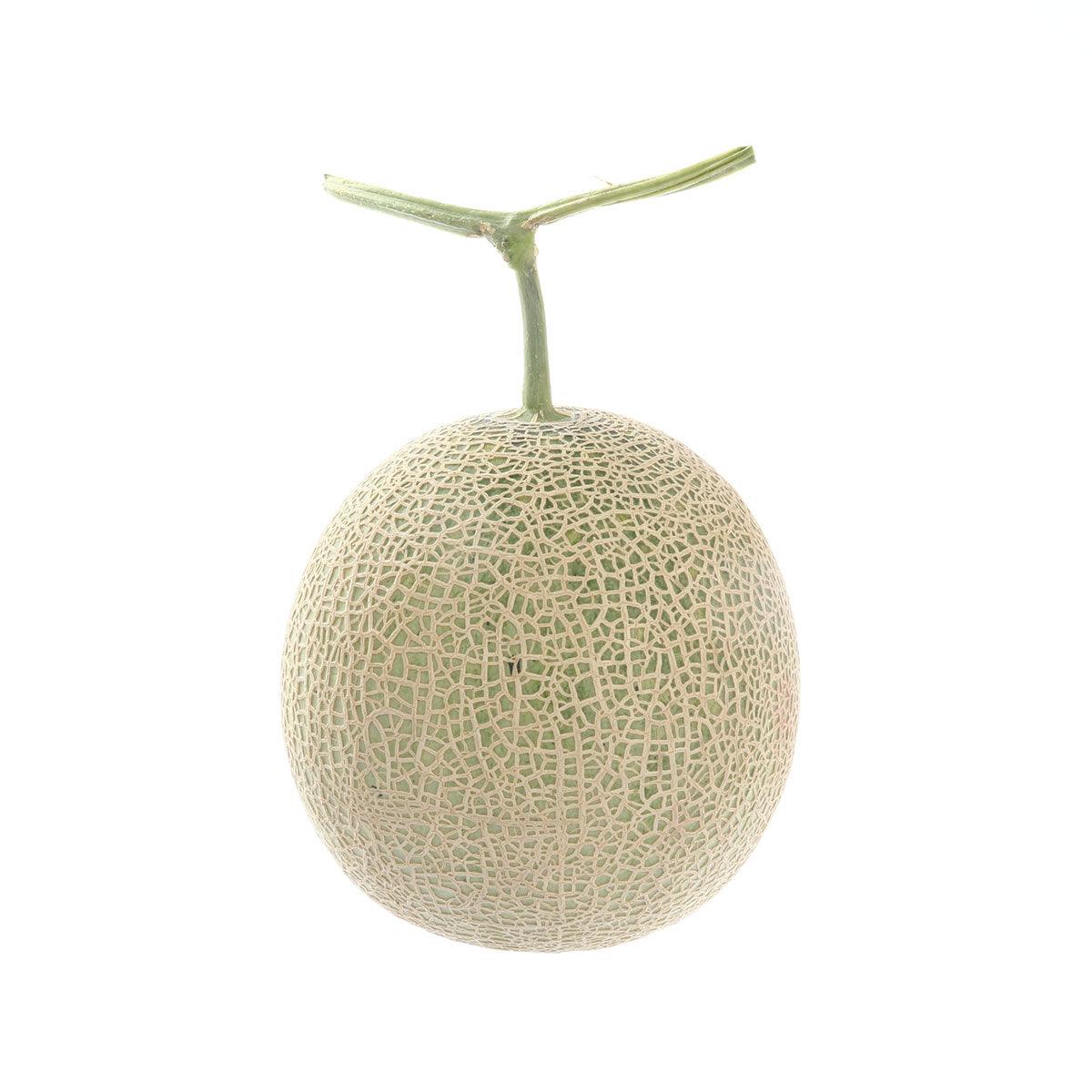 Japan Hokkaido Yubari Melon (1pc)