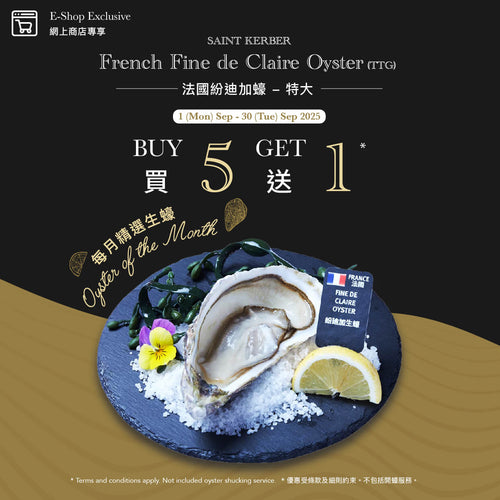 SAINT KERBER 法國紛迪加蠔 - 特大 (1pc)