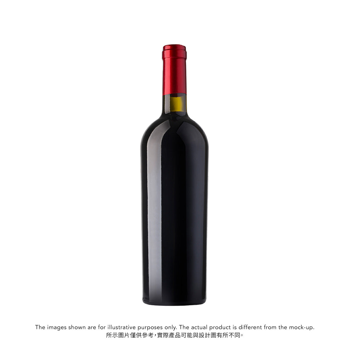 TOLPUDDLE Vineyard Pinot Noir 2024 (750mL)