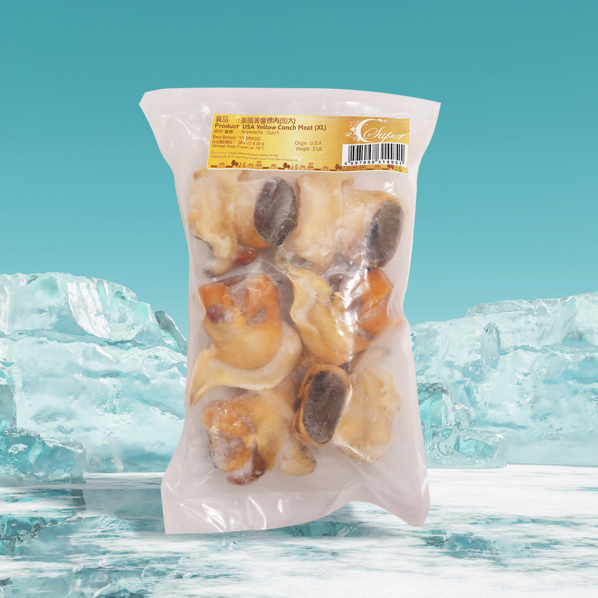 USA Yellow Conch Meat (XL) (2lb)