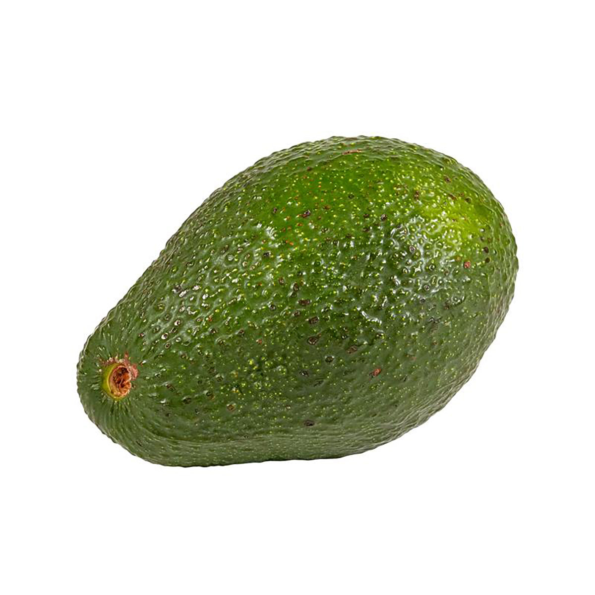 Australian Shepard Avocado 20's (1pc)