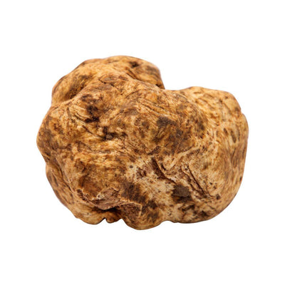 TARTUFLANGHE White Truffle  (10g) - city'super E-Shop