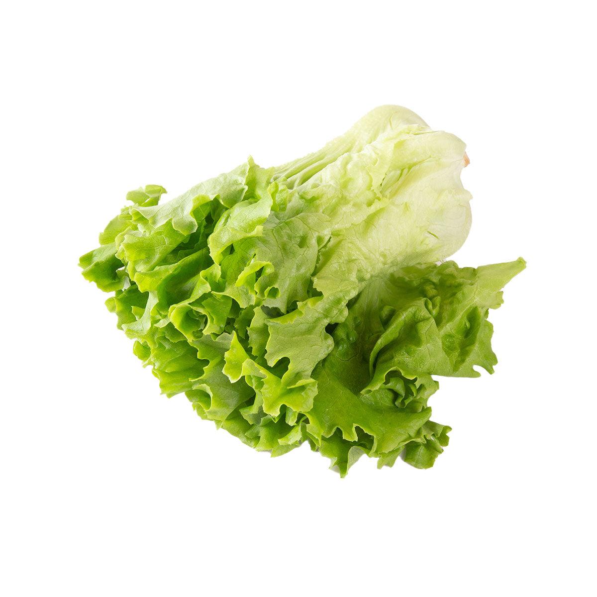 Japan Okinawa Hydroponics Pleated Lettuce (1pack)