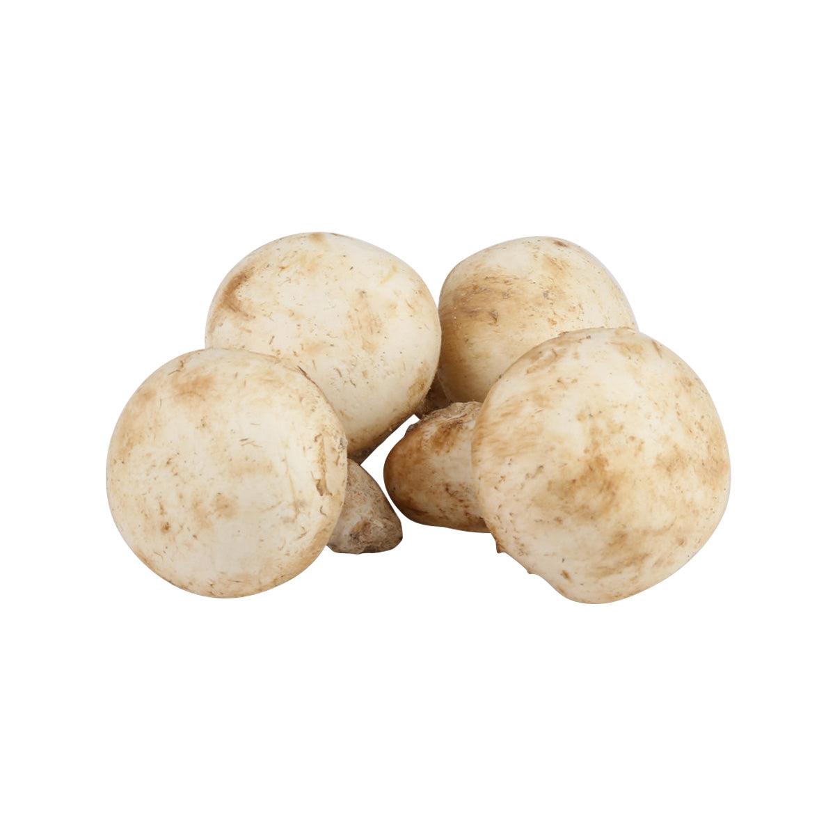 BRUNO CALEGARI French White Paris Mushroom with Whole Foot (500g)