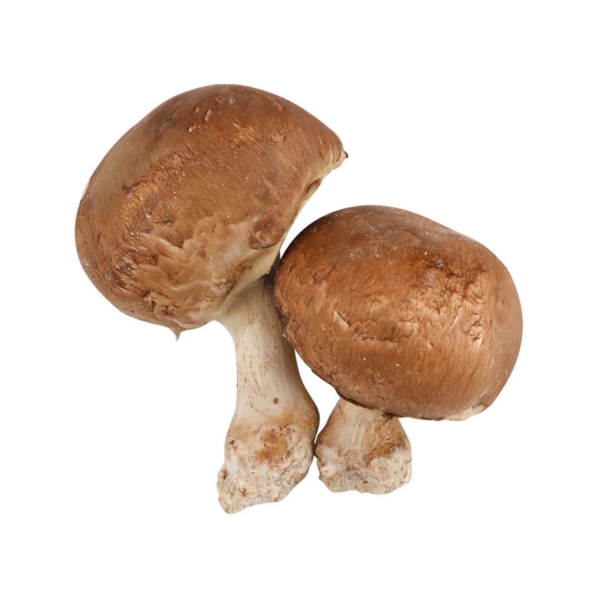 BRUNO CALEGARI French Pink Paris Mushroom with Whole Foot (500g)