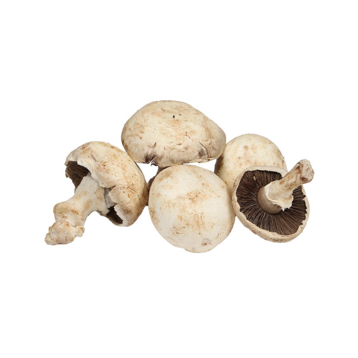 BRUNO CALEGARI French White Paris Mushroom with Whole Foot (200g)