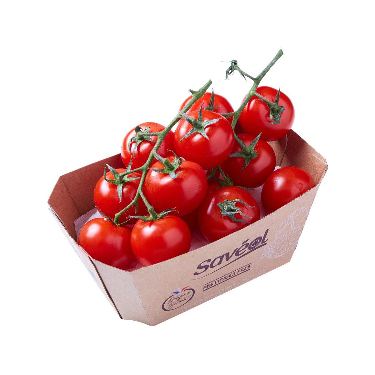 SAVEOL French Cocktail Tomato on Vine (without using Synthetic Pesticides) (500g)