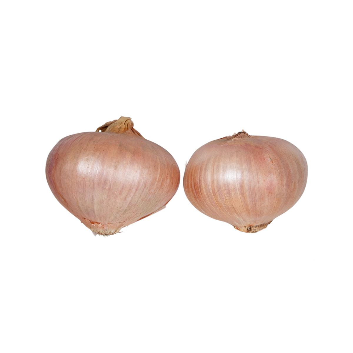 Italian Montoro Onion (600g)