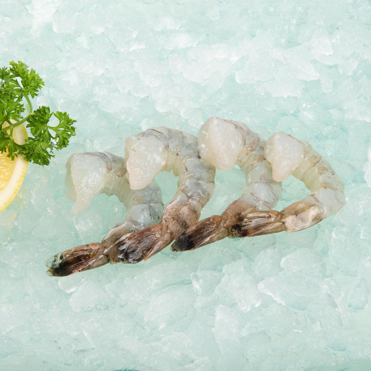 SELVA SHRIMP Vietnamese Frozen Black Tiger Prawn 21/25 (Tail On) - ASC (800g)
