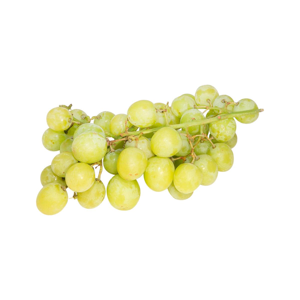 Australian Autumn Crisp Seedless Green Grape (600g)
