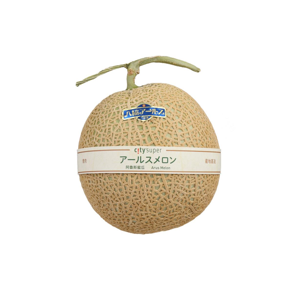 Japanese Arus Melon (1pc)