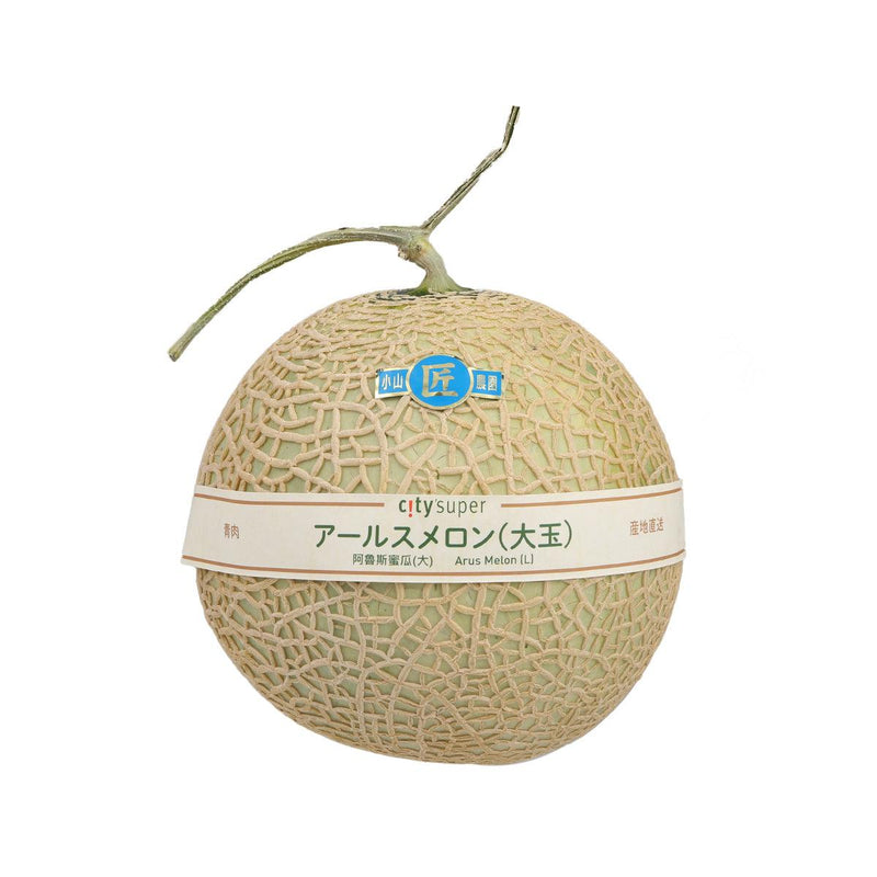 Japanese Arus Melon (Large)  (1pc)