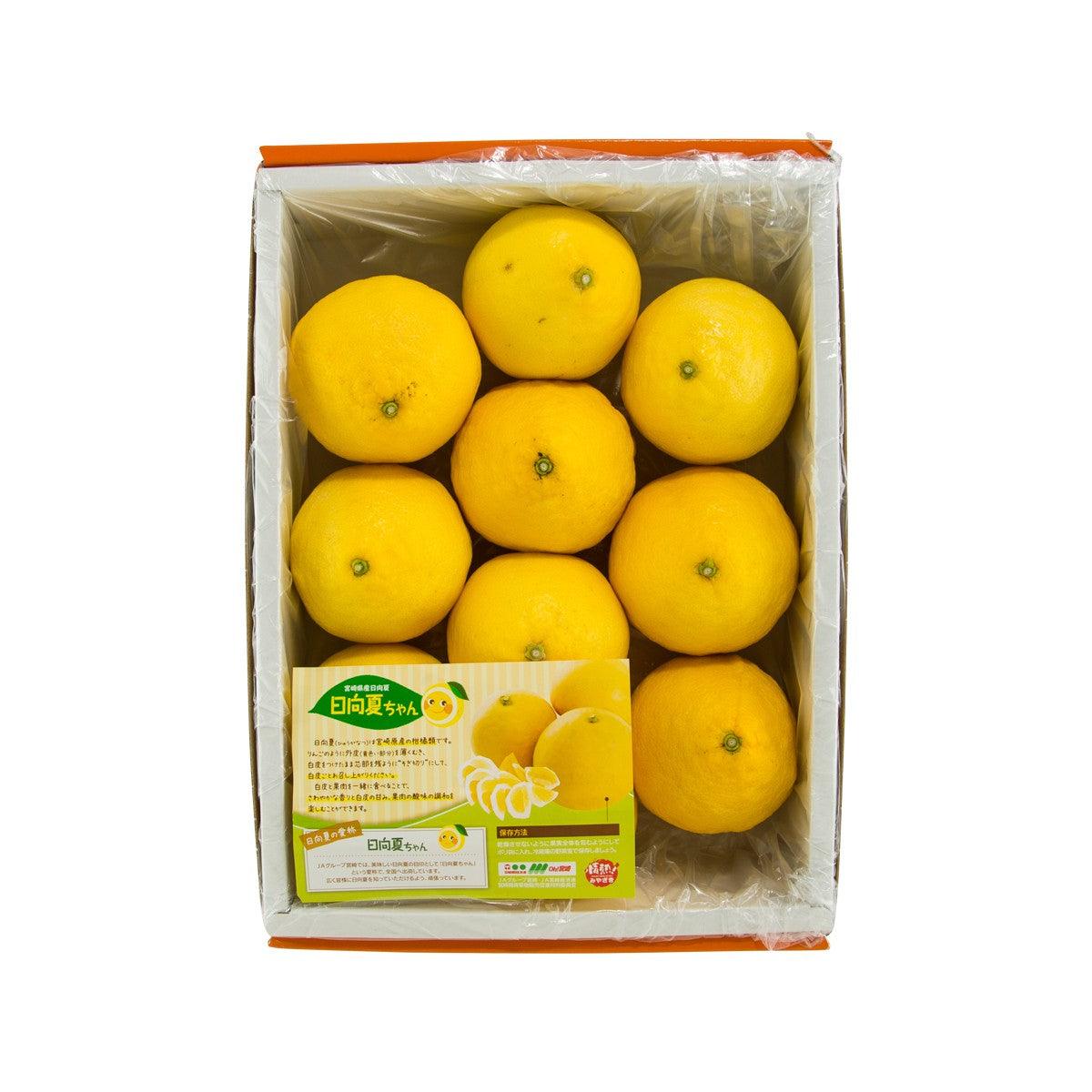 Japanese Hyuganatsu Orange (1pack)