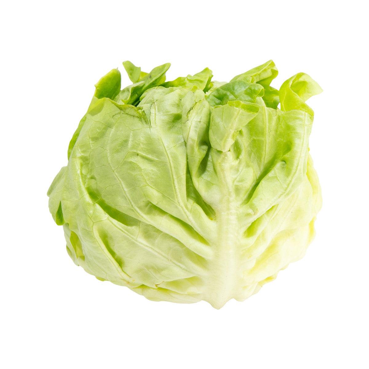 French Butter Lettuce (600g)