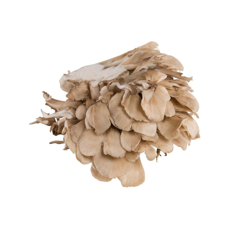 Japanese Maitake Mushroom  (1pack)