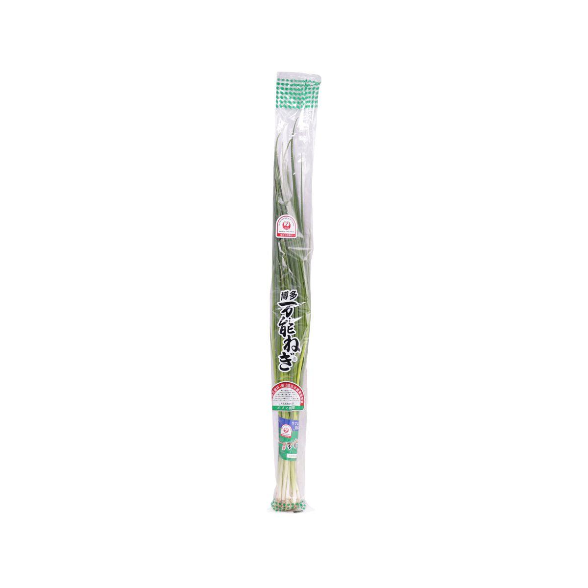 Japanese Bannonegi Spring Onion (1pack)