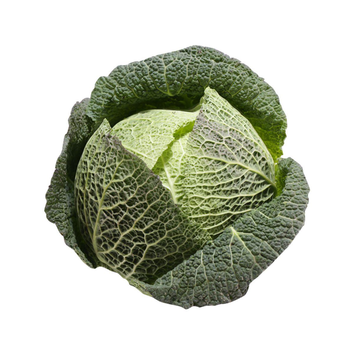 French Savoy Cabbage (600g)