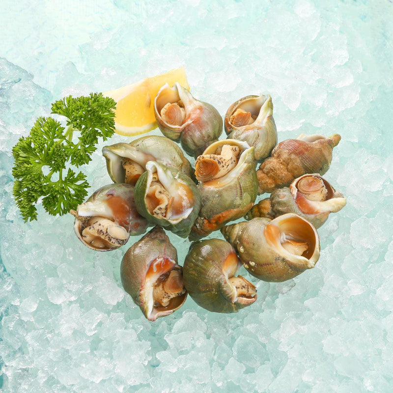 Canadian Cooked Whelks [Previously Frozen]  (500g)