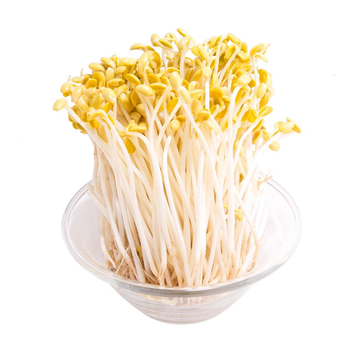 Local Organic Soya Bean Sprout (400g)
