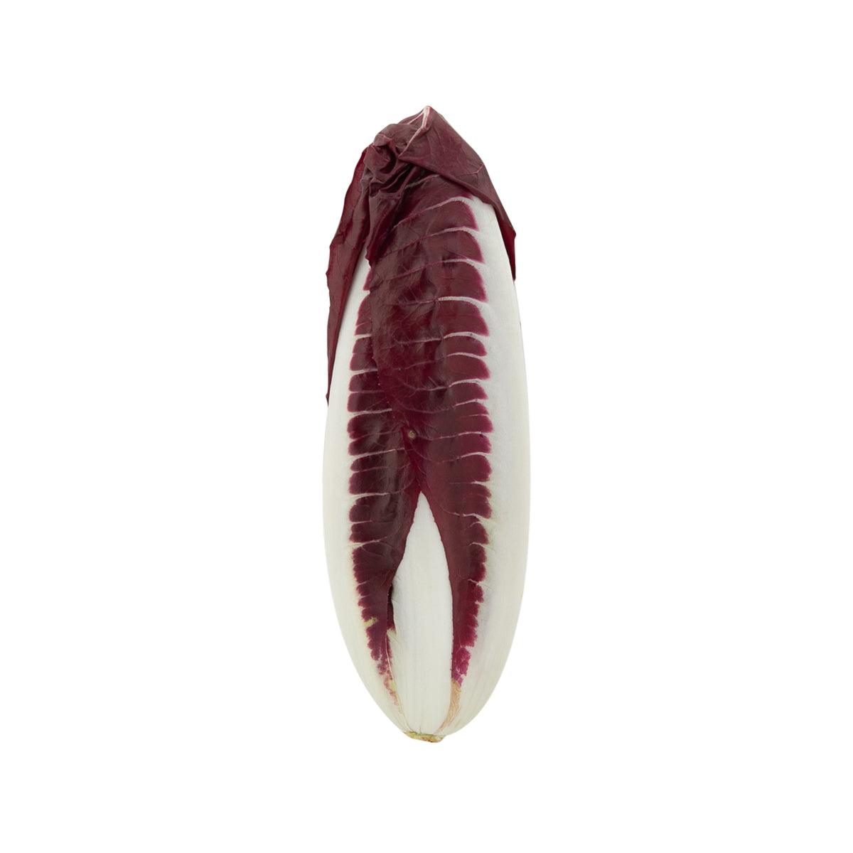 Italian Radicchio Precoce (200g)