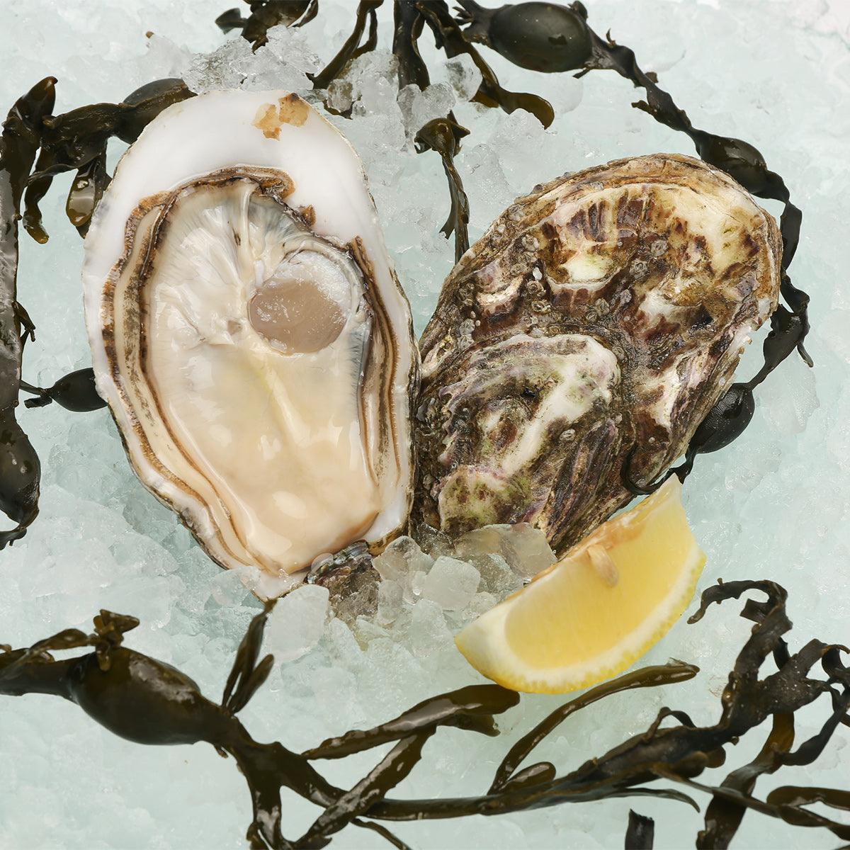TSARSKAYA French Tsarskaya Oyster Nr.1 (1pc)