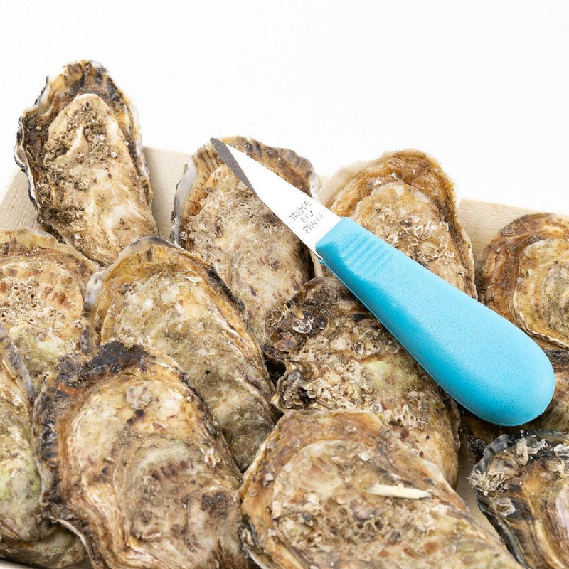 KRYSTALE 法國Krystale生蠔Nr.2  (12pcs)