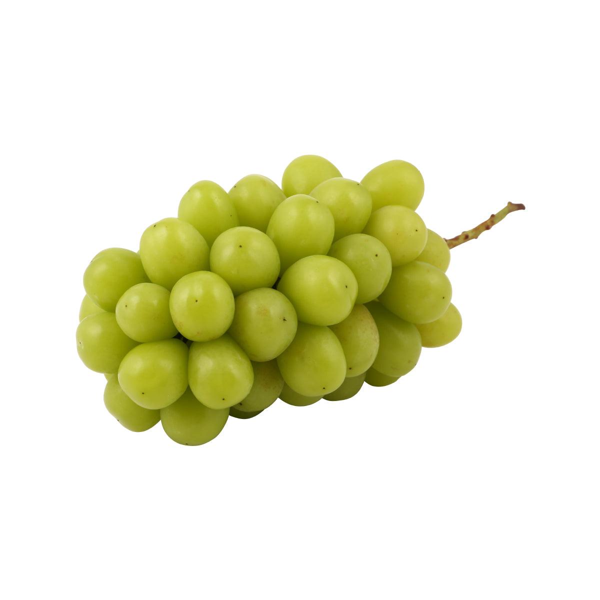 Japan Okayama Shine Muscat Grape (750g)