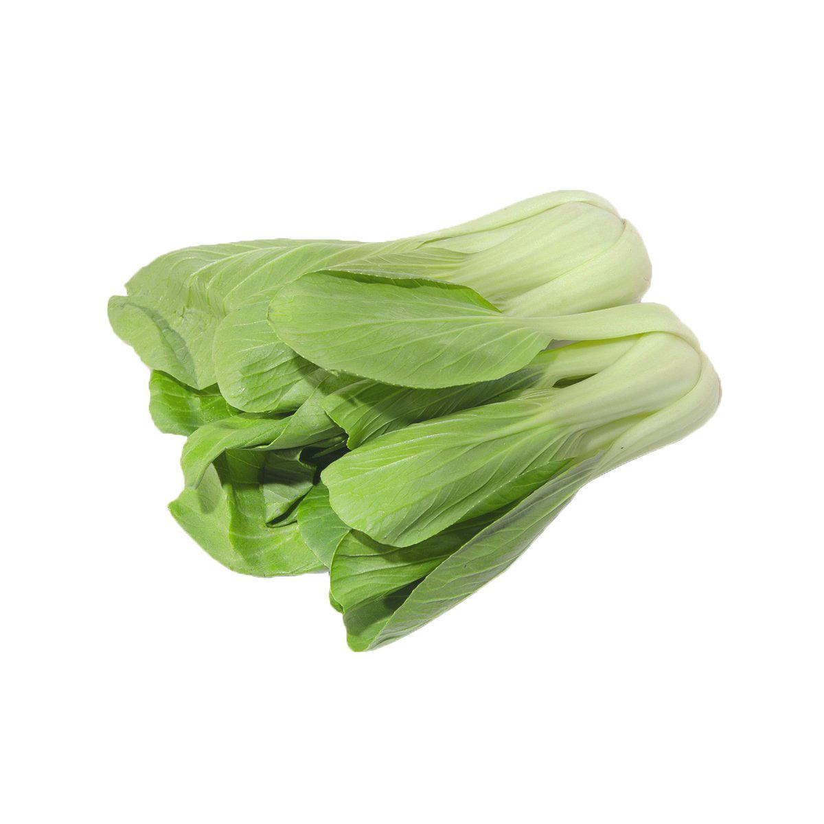 Japanese Shanghai Pakchoi